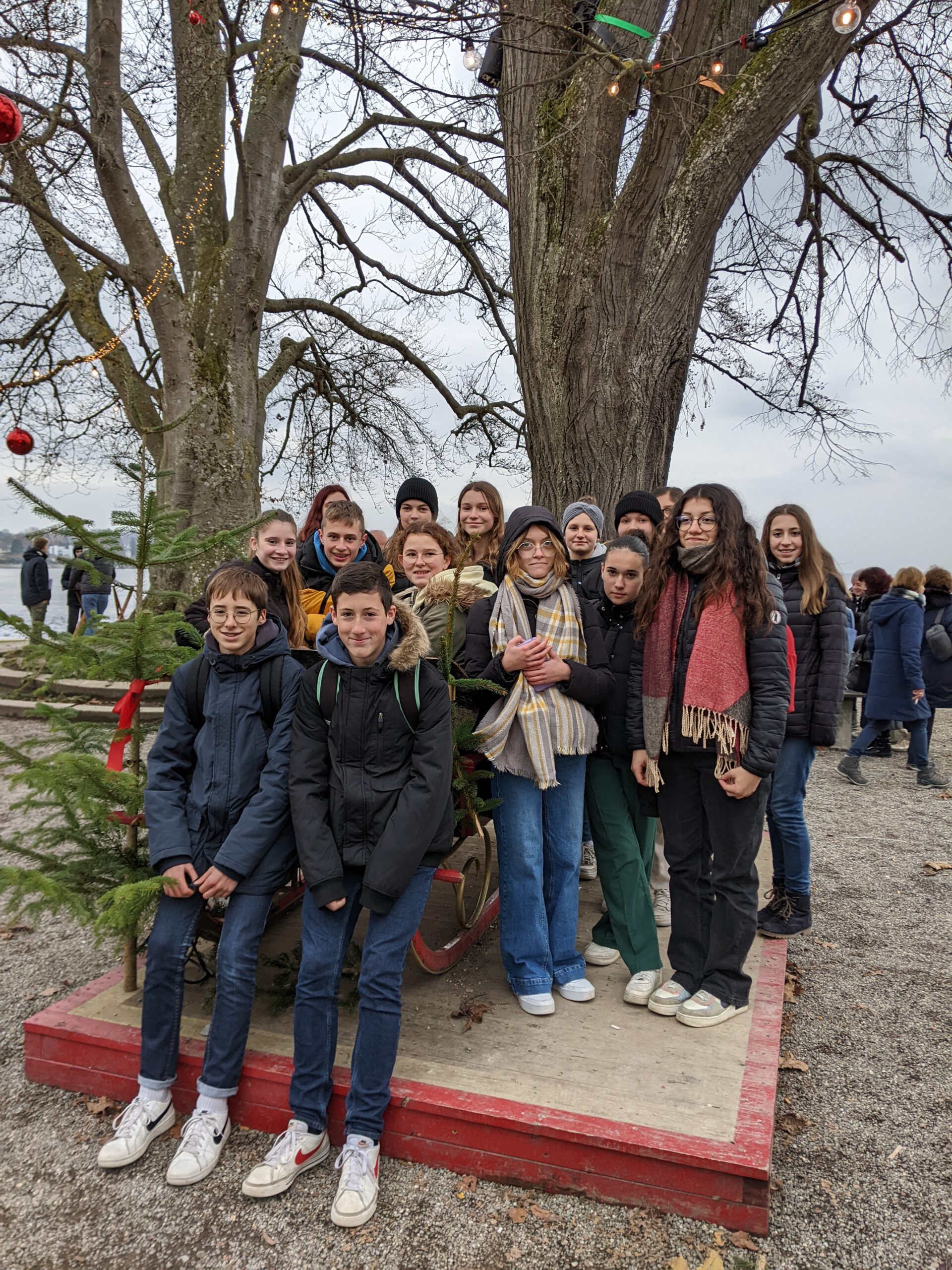 PXL_20221201_141012971